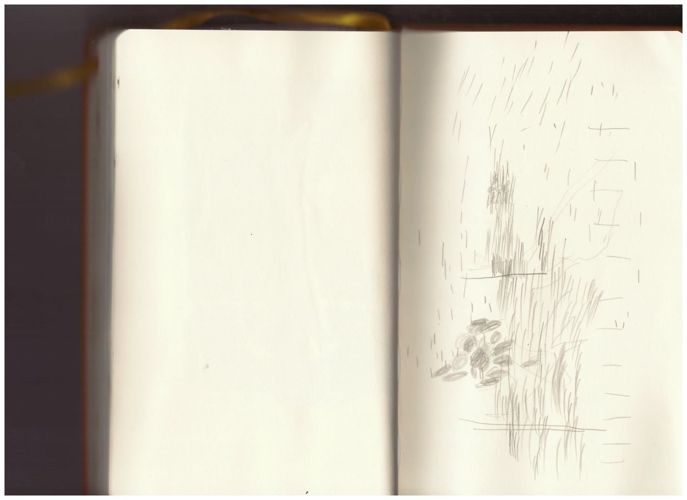 Notebook scan, page 61