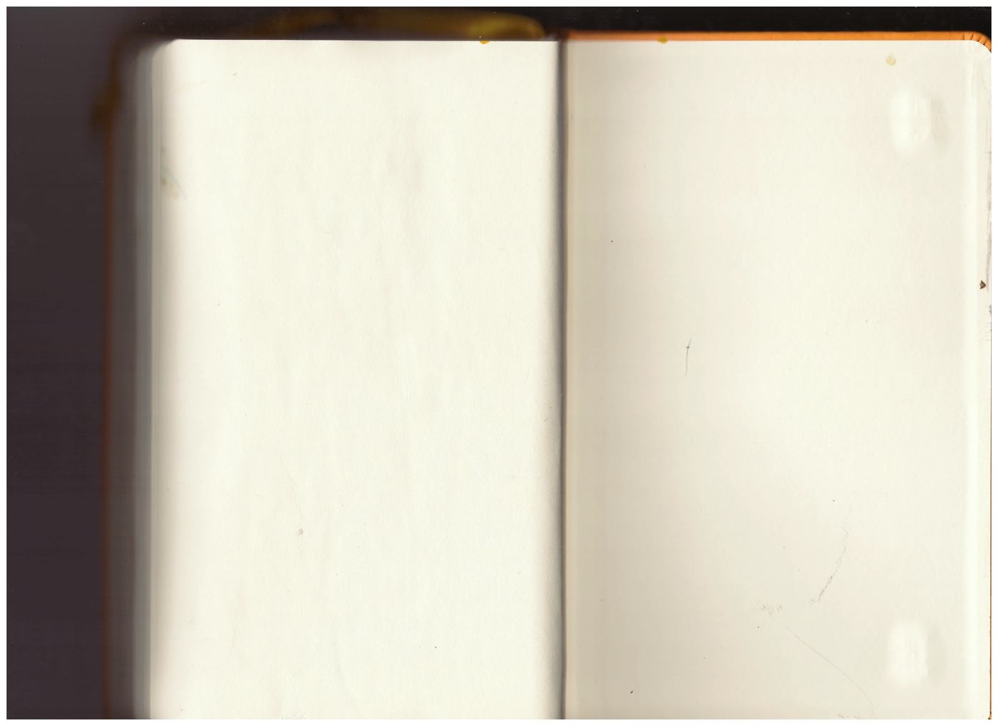 Notebook scan, page 80