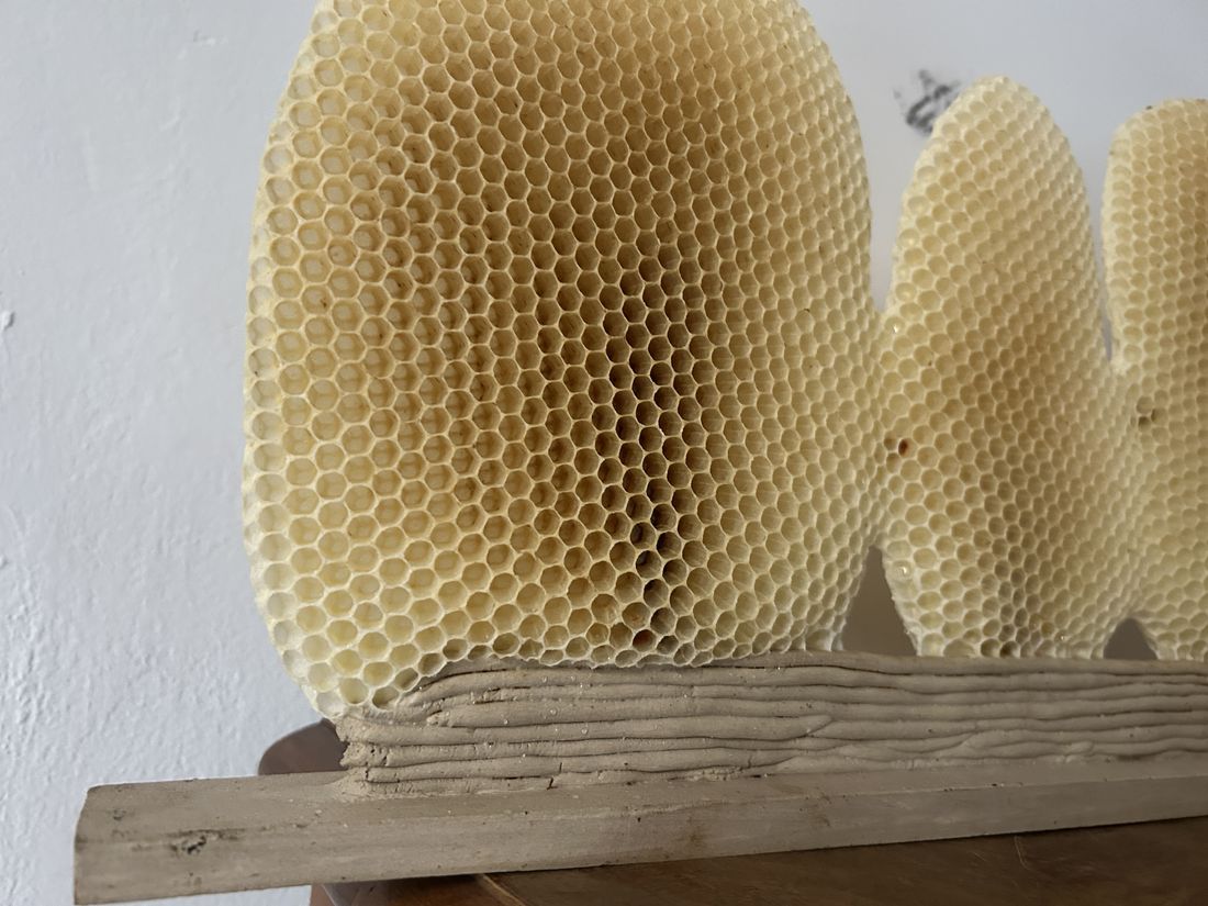 Honeycomb on a clay bar
