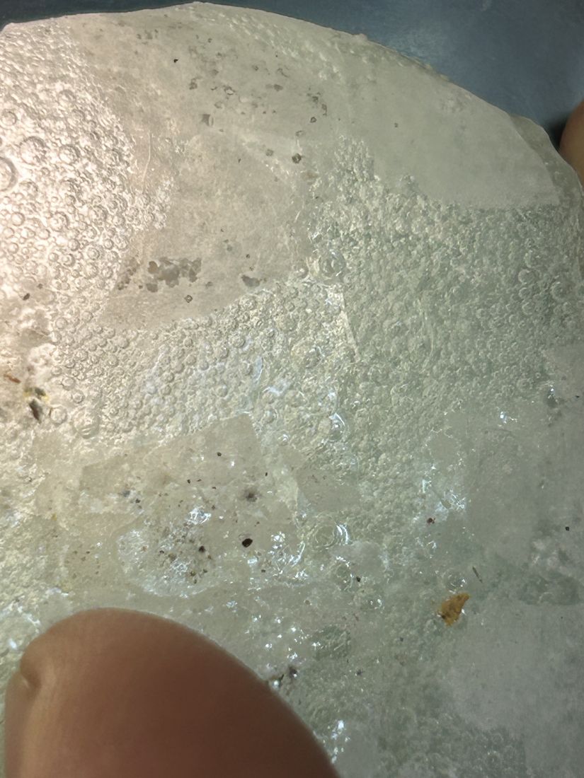 Fused disc of plain glass, dense with trapped bubbles